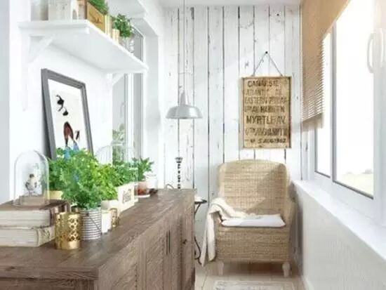 陽臺種什么植物比較好?植物風水有哪些禁忌? 陽臺種什么植物比較好?植物風水有哪些禁忌?